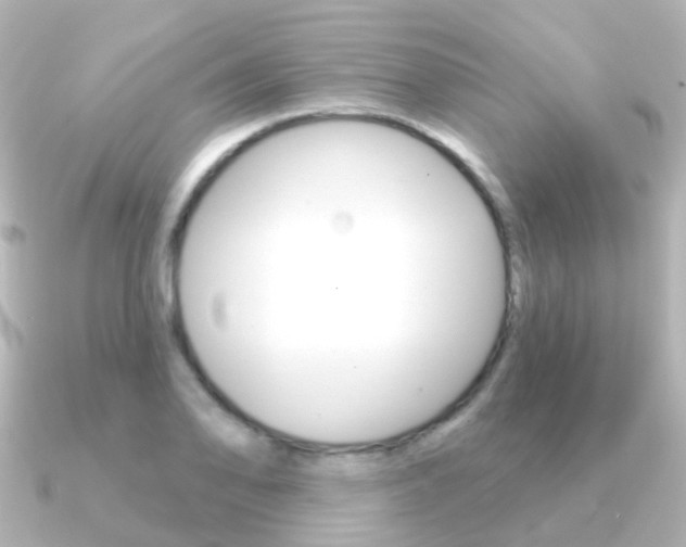 X0000091331078200708100957