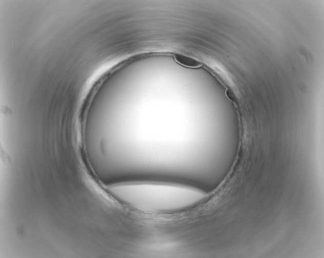 X0000091331080200708100957