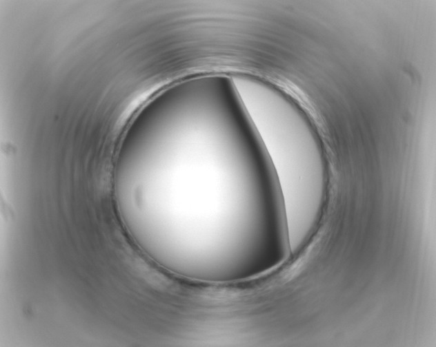 X0000091331081200708100957