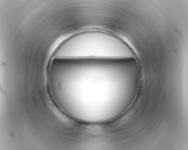 X0000091331082200708100957