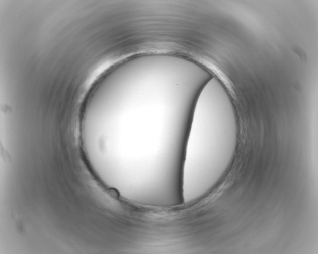X0000091331083200708100957