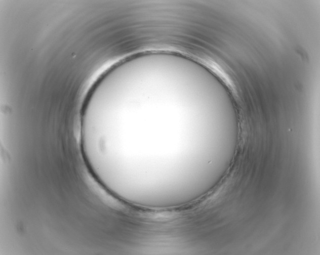 X0000091331084200708100957