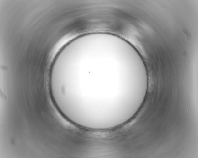 X0000091331086200708100957
