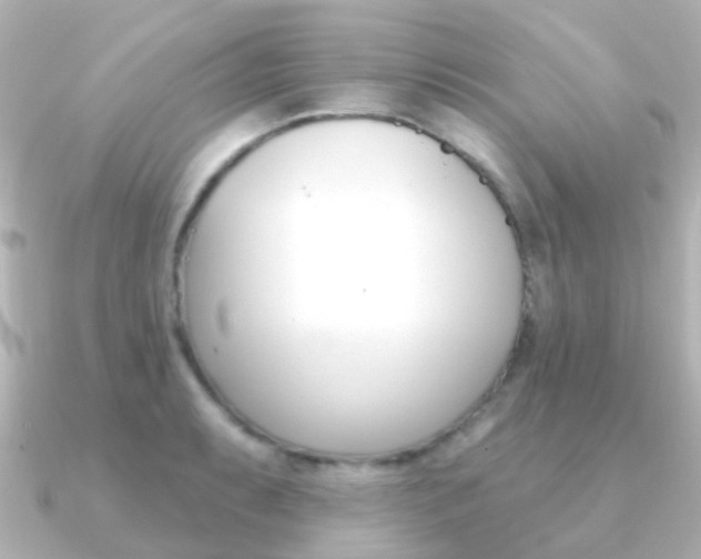 X0000091331087200708100957