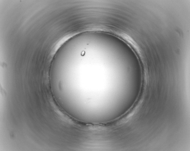 X0000091331089200708100957