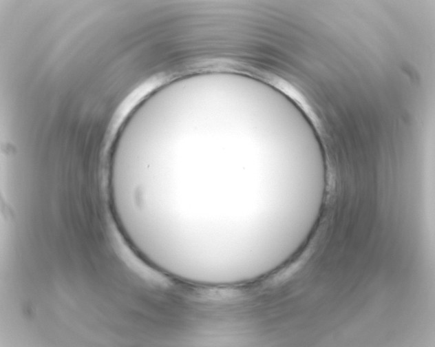 X0000091331090200708100957