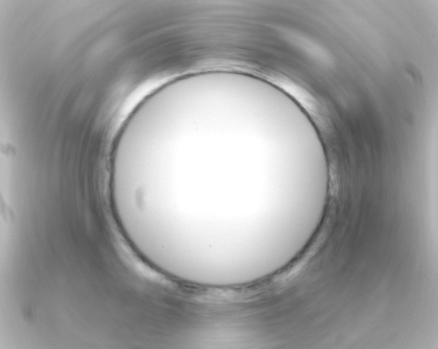 X0000091331094200708100957