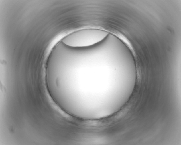 X0000091331096200708100957