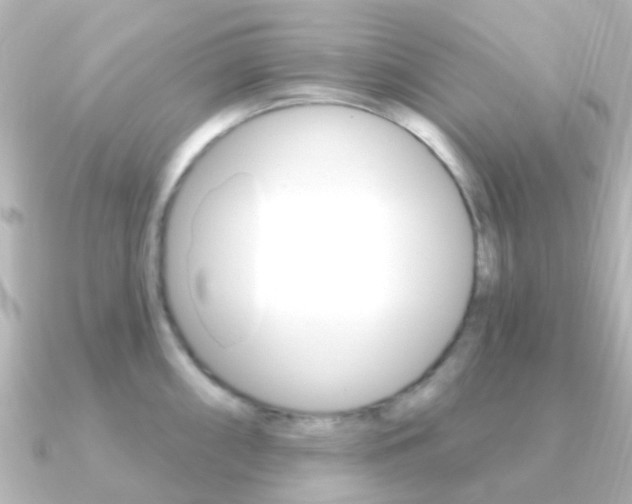 X0000091331098200708100957