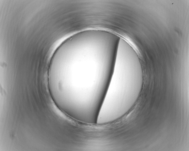X0000091331100200708100957