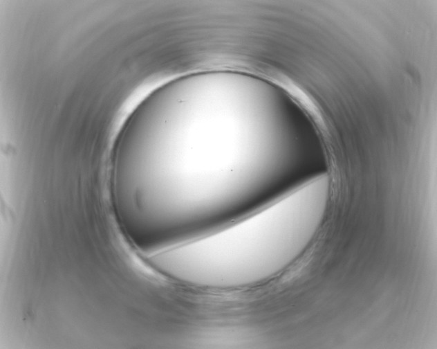 X0000091331102200708100957