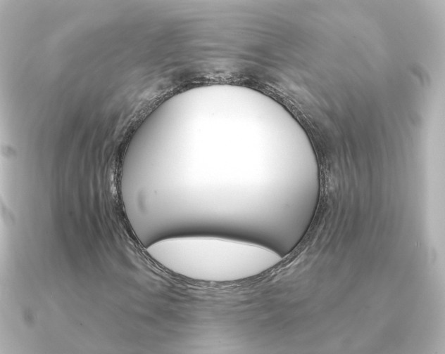 X0000091331106200708100956