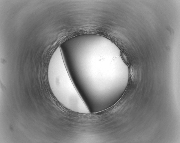 X0000091331107200708100956