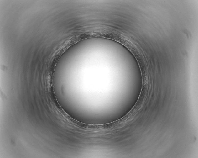 X0000091331108200708100957