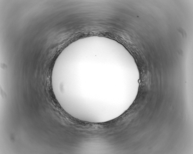 X0000091331109200708100957