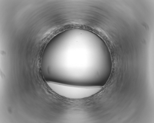 X0000091331110200708100957
