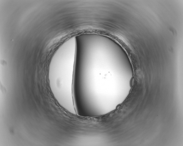 X0000091331111200708100957