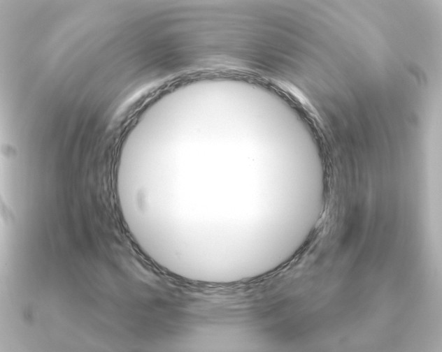 X0000091331112200708100957