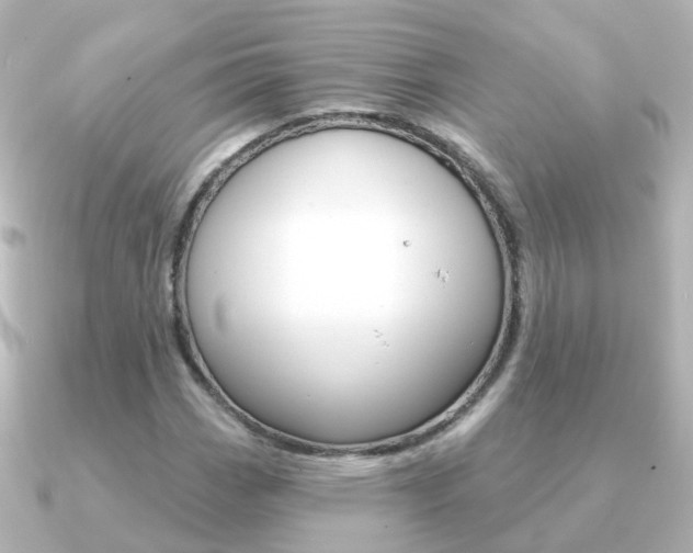 X0000091331113200708100957