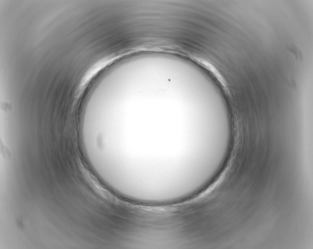 X0000091331114200708100957
