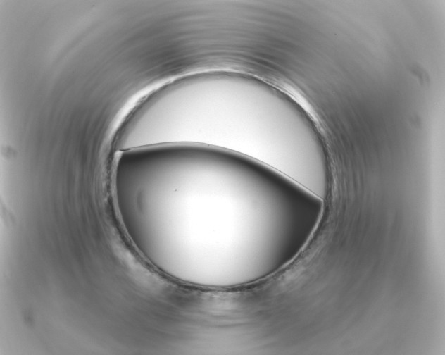 X0000091331116200708100957