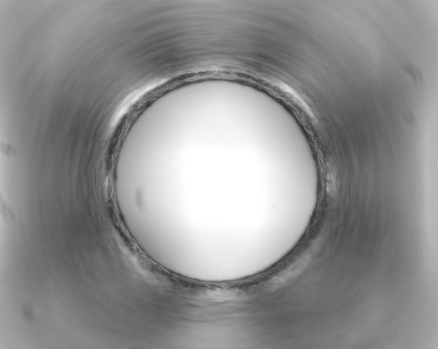 X0000091331117200708100957