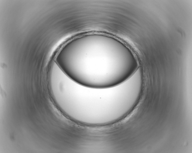 X0000091331118200708100957