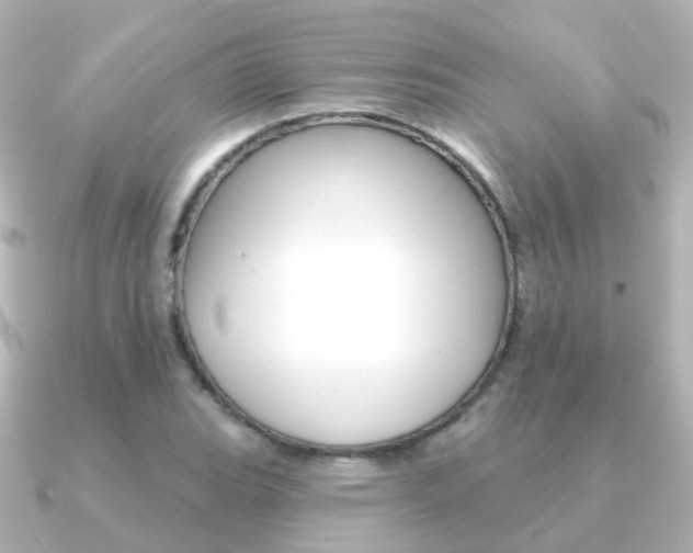 X0000091331119200708100957
