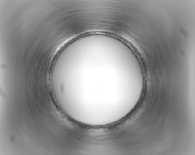 X0000091331121200708100957