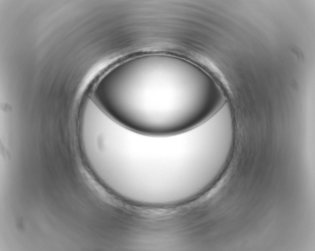 X0000091331122200708100957