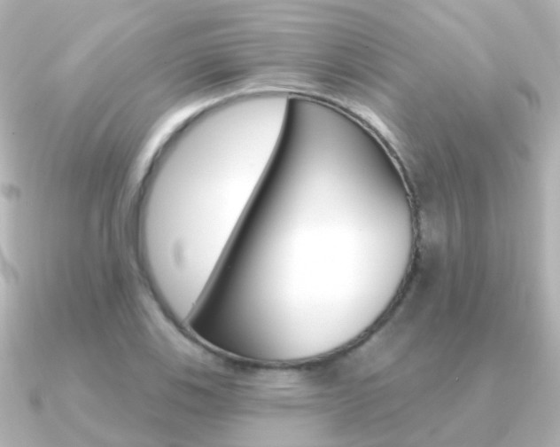 X0000091331123200708100957