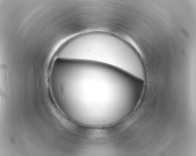 X0000091331124200708100957