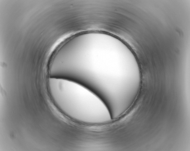 X0000091331126200708100957