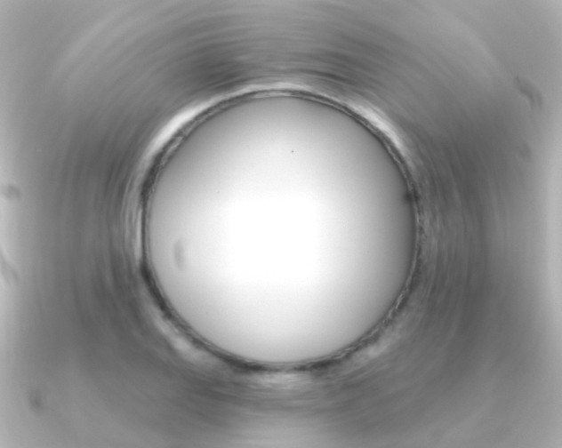 X0000091331127200708100957