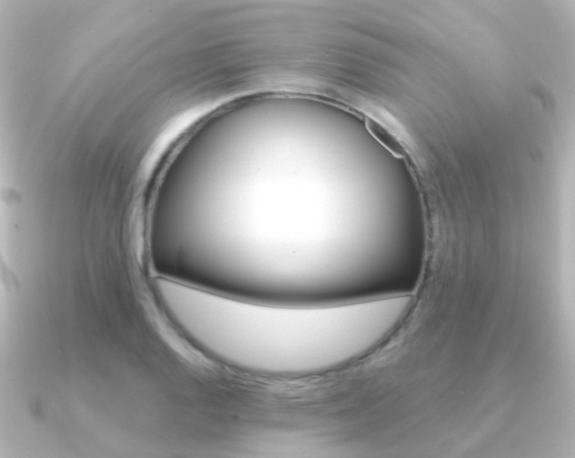 X0000091331128200708100957