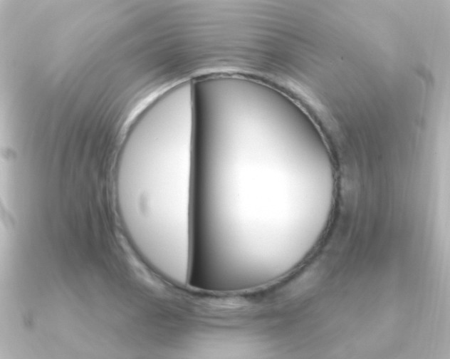 X0000091331129200708100957