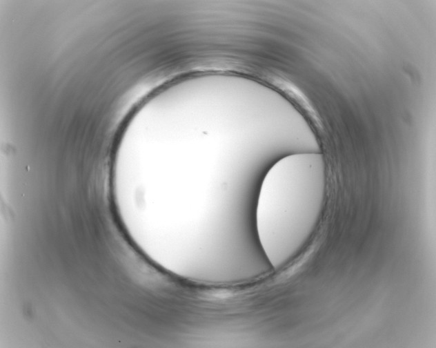 X0000091331130200708100957