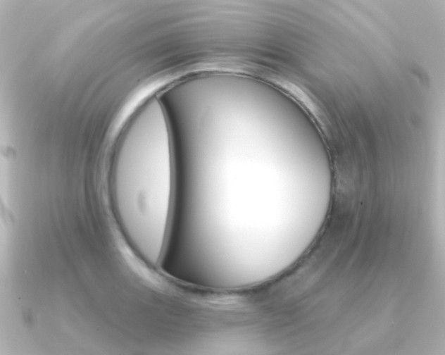 X0000091331131200708100957