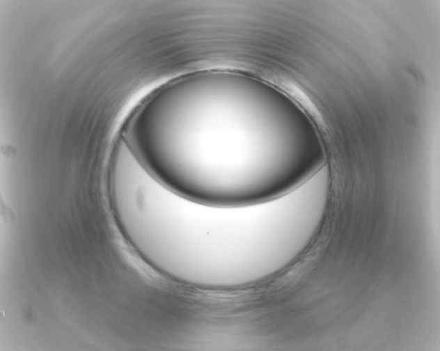 X0000091331132200708100957