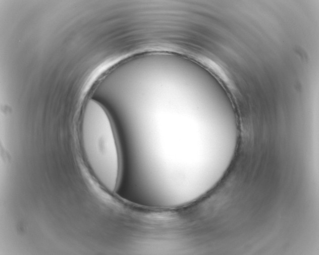 X0000091331133200708100957