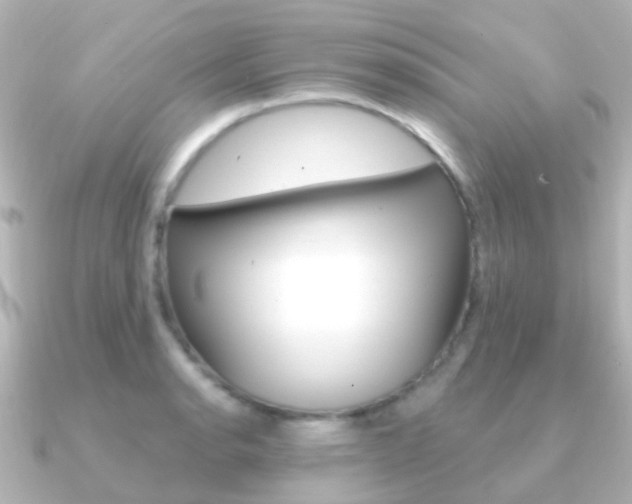 X0000091331134200708100957