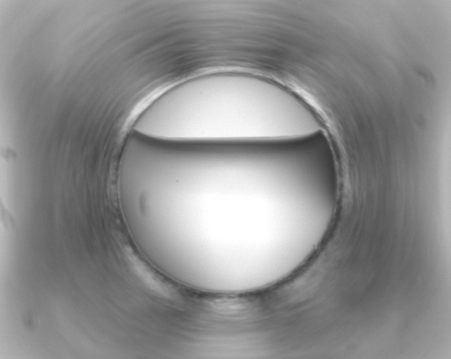 X0000091331137200708100957