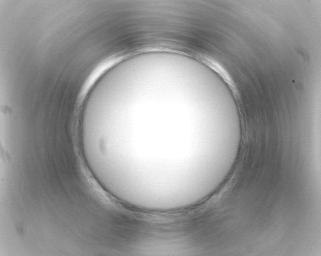 X0000091331138200708100957
