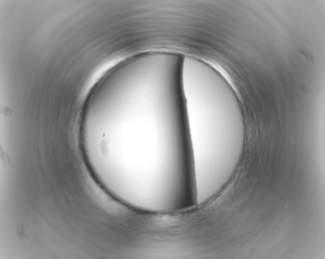 X0000091331139200708100957
