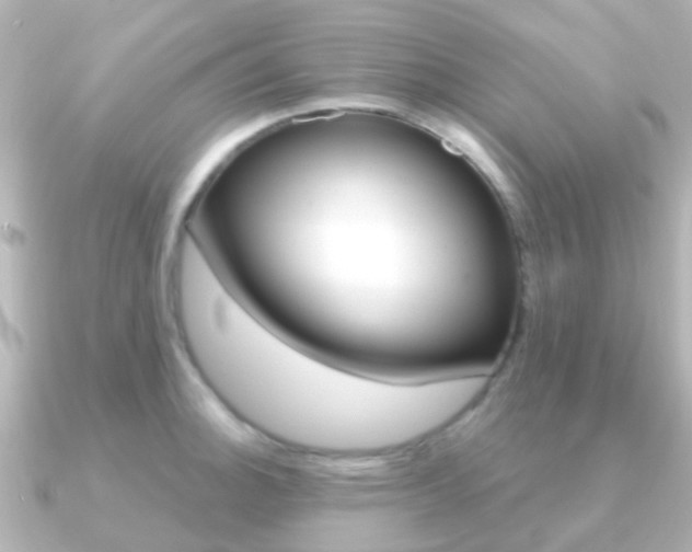 X0000091331140200708100957