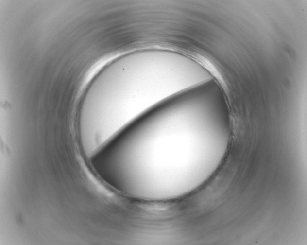 X0000091331141200708100957