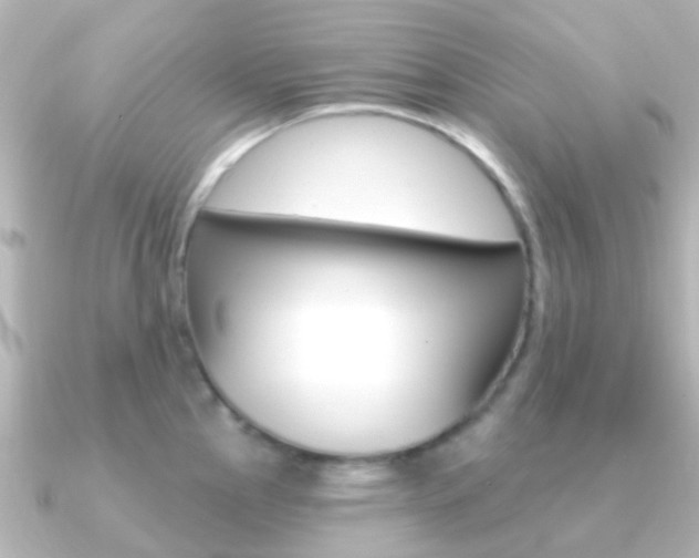 X0000091331145200708100957