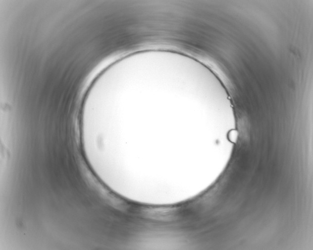 X0000091331150200708100957