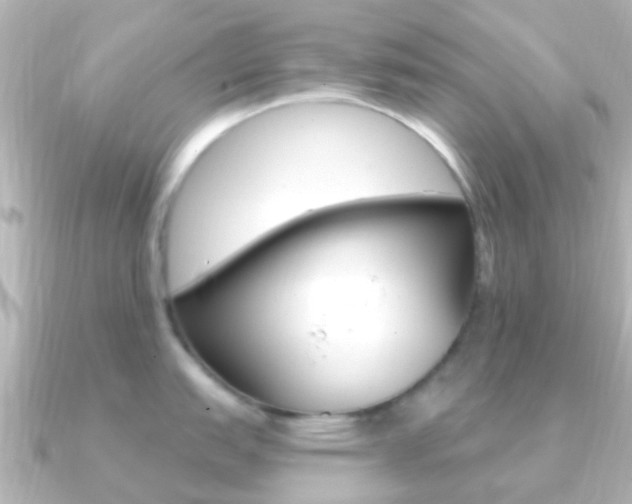 X0000091331151200708100957