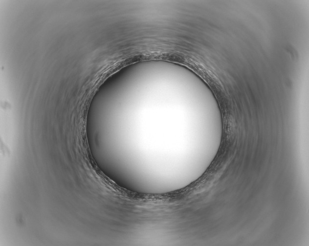 X0000091331153200708100956